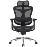 Silla Ergonomica Premium Sihoo *doro-c300l-a3-001* 3 Level Recline Angle: 110°/120°/130°3d Armrest Class 4 Gaslift Sgs & Bifma Certified. Steel - Assembled Base *garantia 3 AÑos* Por Defectos De Fabrica - Doro-c300l- a3-001