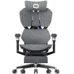 Silla Ergonomica Premium Sihoo *x5pro-404-jt* 3 Level Recline Angle: 95°-125°-138°6d Armrest Class 4 Gaslift Bifma Certified. Aluminum Base Purple-green “x” Back Decorative Cover *garantia 3 AÑos* Por Defectos De Fabrica - X5pro-404-jt